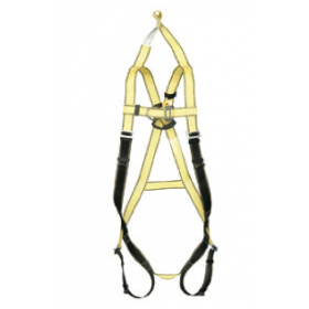 CMHYP10R Yale rescue harness